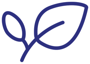 Icône représentant une feuille, symbole d'ingrédients naturels